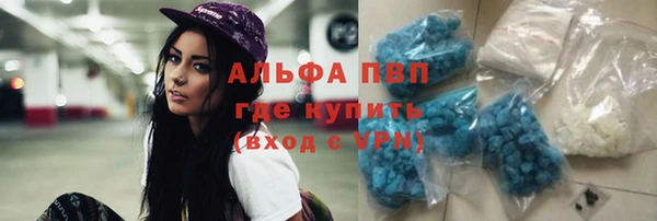 тгк Абинск