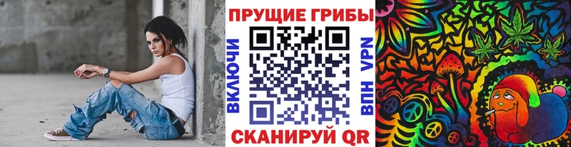 нарко площадка клад  Звенигород  Псилоцибиновые грибы Psilocybe 